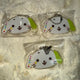 NCT Wish Color Pop-up Gacha Random Capsule Machine Mirror Keyring Mirror Ryo Ryonryon