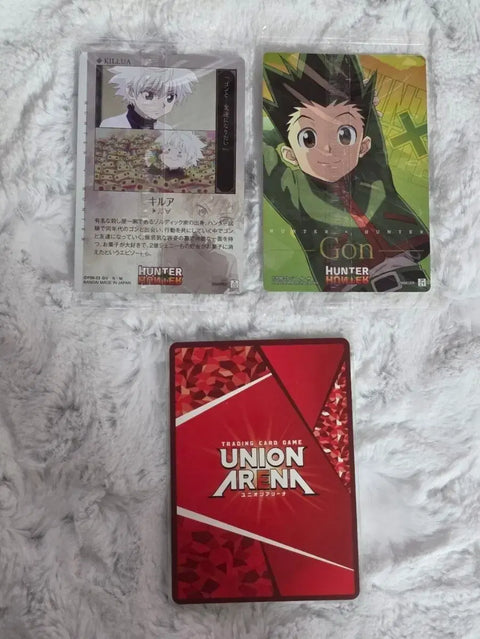 Hunter x Hunter Killua, Gon Itajaga (batch)