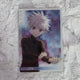 Hunter x Hunter Killua, Gon Itajaga (batch)