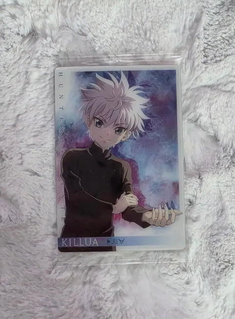 Hunter x Hunter Killua, Gon Itajaga (batch)