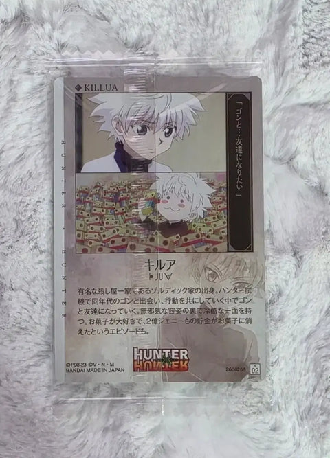 Hunter x Hunter Killua, Gon Itajaga (batch)