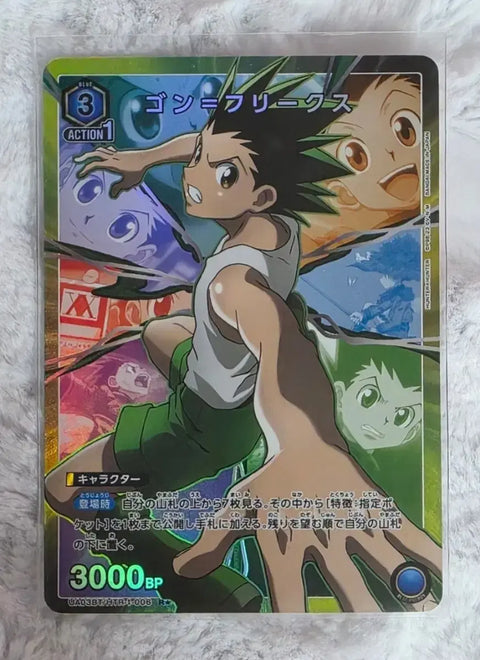 Hunter x Hunter Killua, Gon Itajaga (batch)