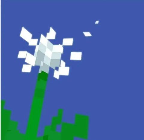 Fisherman Album + Compilation Album
