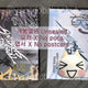 EXID Trouble Shooter Abum Unsealed Album Transfer