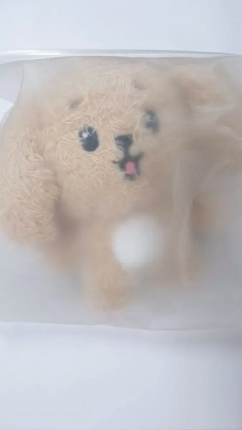 Mini Tin Seventeen Doa Migakbong Plush Toy!