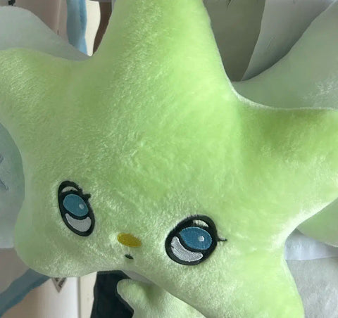 Wichu Cushion