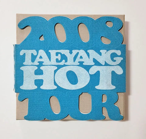 Big Bang 2008 Global Warning Tour & Taeyang 1st Concert DVD
