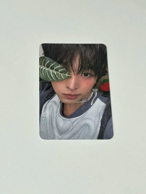 NCT Wish Riku Ketaphor Color Unreleased Photo