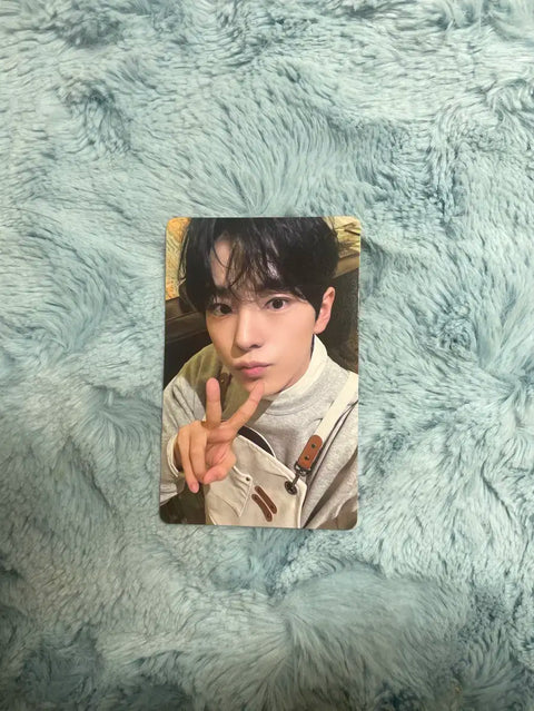 Steady, Steady kms NCT WISH photocards WTS