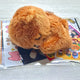 Dreaming Bear Iggom Haechan Doll NCT Dream NCT Lee Haechan Transfer Sale Photocard