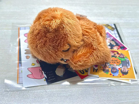 Dreaming Bear Iggom Haechan Doll NCT Dream NCT Lee Haechan Transfer Sale Photocard
