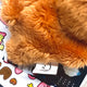 Dreaming Bear Iggom Haechan Doll NCT Dream NCT Lee Haechan Transfer Sale Photocard