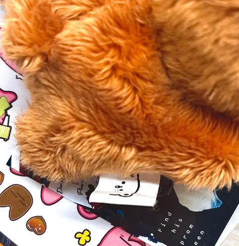 Dreaming Bear Iggom Haechan Doll NCT Dream NCT Lee Haechan Transfer Sale Photocard