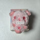 NCT Wish Color Wishdoll Sakuya Ppang Pink Wibubu Transfer