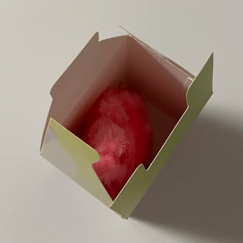 NCT Wish Wishdoll Red Kuri New