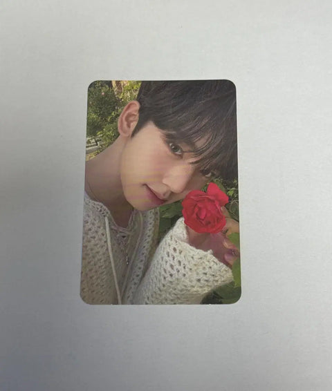 Han Yujin 1st Album Flower Photocard Transfer