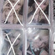 Bemon Rami BabyMonster Haram Photocard