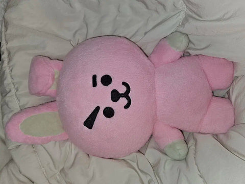 Selling Line Friends BT21 Medium Standing Doll Cooky Jungkook JK