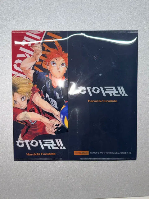 Haikyu!! Dumpster Battle Kenma Hinata Ticket Holder File