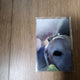 "Seonjae Upgo Twieo Byeon Wooseok Online Random Photocard Benefit"