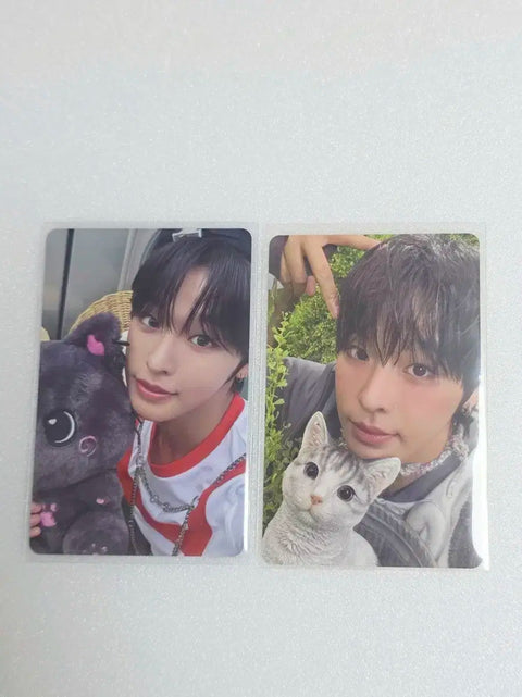 Wish Color Jewel Group Individual Riku Bundle Transfer