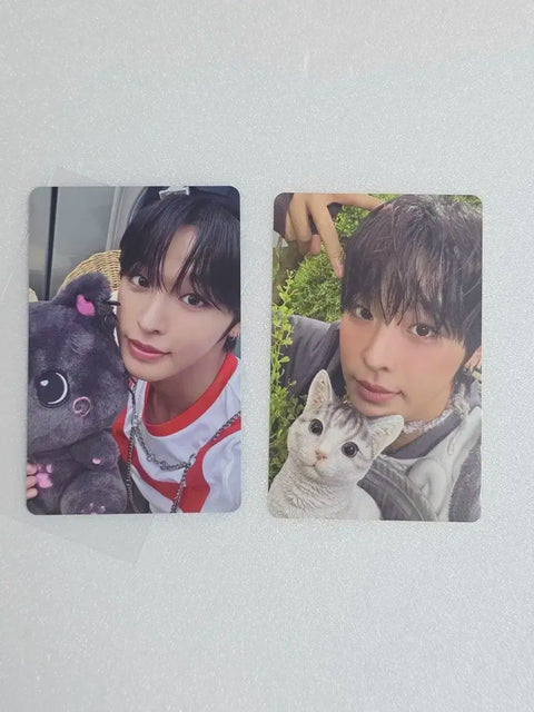 Wish Color Jewel Group Individual Riku Bundle Transfer