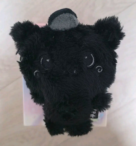 NCT Wish Color Wishdoll Riku Secret Black Kuri Transfer