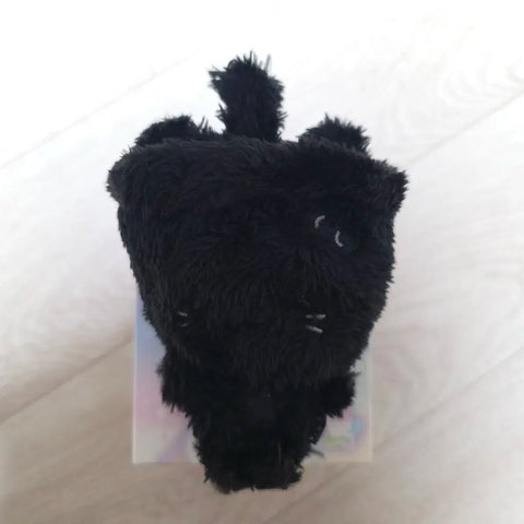 NCT Wish Color Wishdoll Yushi Secret Black Bubble Cat Transfer