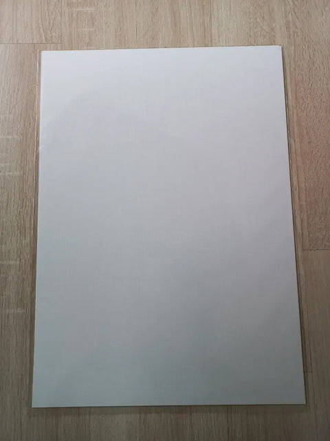 Attack on Titan Poster 2-Type A3
