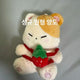 Infinite Sungkyu doll Kyukong transfer