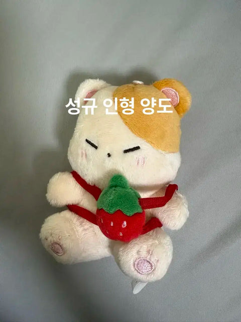 Infinite Sungkyu doll Kyukong transfer