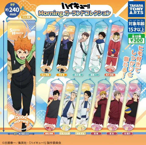 Haikyu!! Garland Gacha Hinata