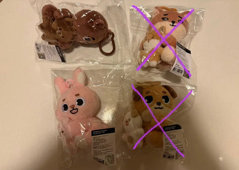 DAY6 fan meeting PpeuMeol DeMeol Denimals magnet NaAnA doll room fill transfer