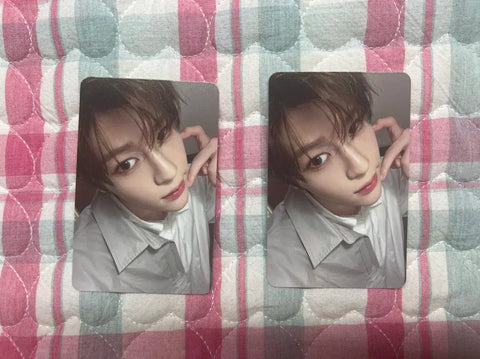 Steady Treka Sion Photocard