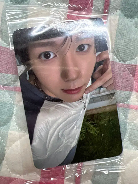 Ketaphor Color Unreleased Photocard Lyo Photocard