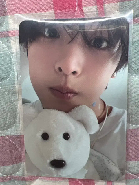 Steady Riku photocard