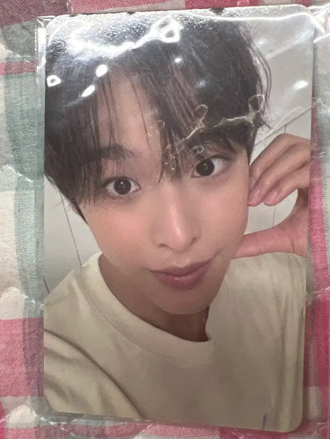 Steady Showcase Unreleased Riku Photocard