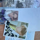 Wish Album Osion Photocard Included