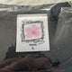 Sakurazaka 5th Addiction Tour T-shirt