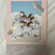 Seventeen First Love Album