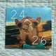 Selling Beenzino's 24:26 5th Anniversary Album Remaster.