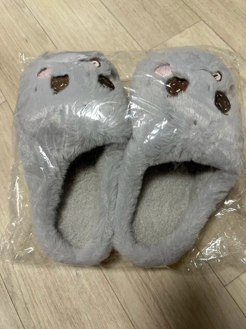 Liraz Pop-up Song Yong-dori RIIZE Eunseok Room Slippers Set