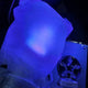 aespa Light Stick & Winter Emblem