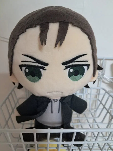Attack on Titan, AOT, Eren, Petit Tetto, Nui