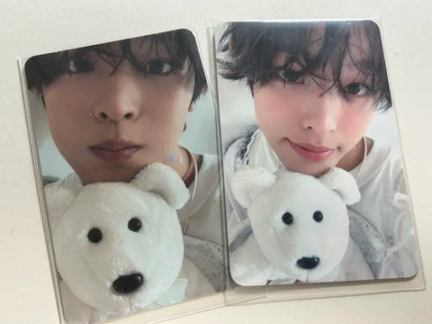 NCT Wish Riku Steady Psyche Photocards Batch Sale Urgent