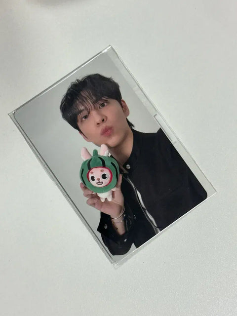 DAY6 Forever Young 40,000 won photocard Watermelon Wonpil for sale/transfer.