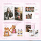 &TEAM Harua DICON B version splitting/group order transfer