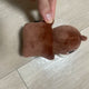Denimals 2024 The Present Goods Hand Warmer Doll Room