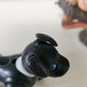 I'm selling Aibo and gecko gacha.