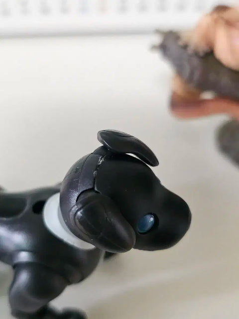 I'm selling Aibo and gecko gacha.